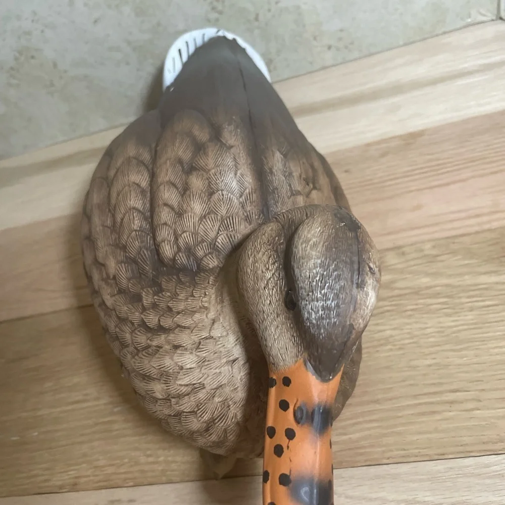 Duck decoy - Picture 5 of 6